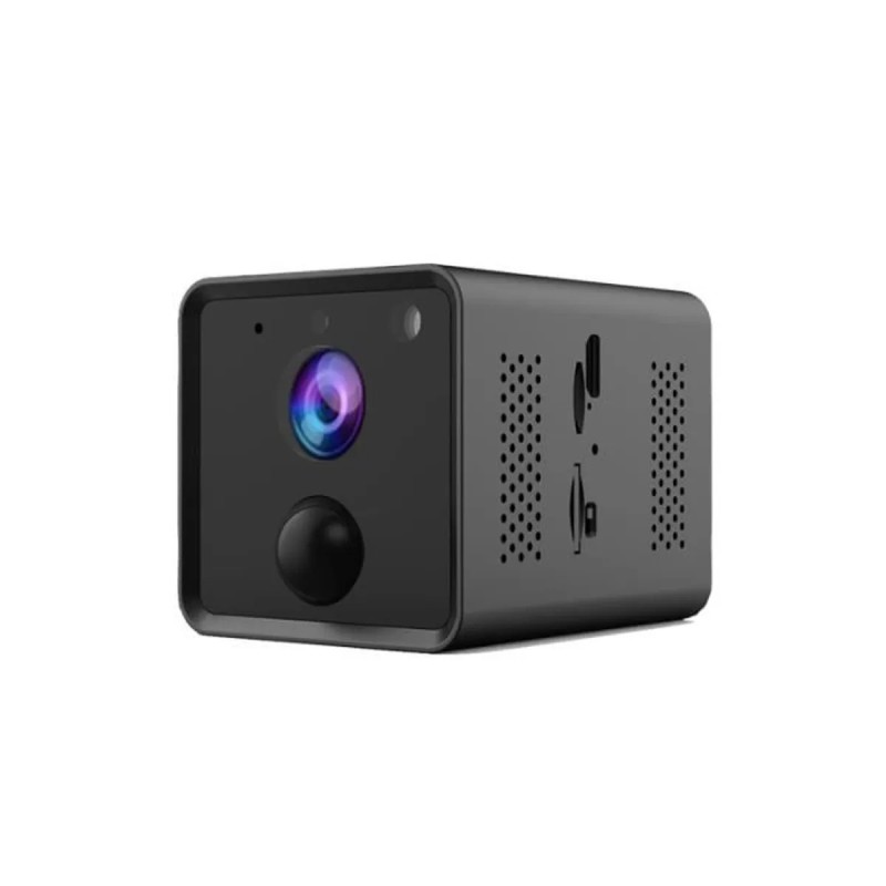 Lange levensduur van de batterij aangesloten WIFI-camera PIR-bewegingsdetectie